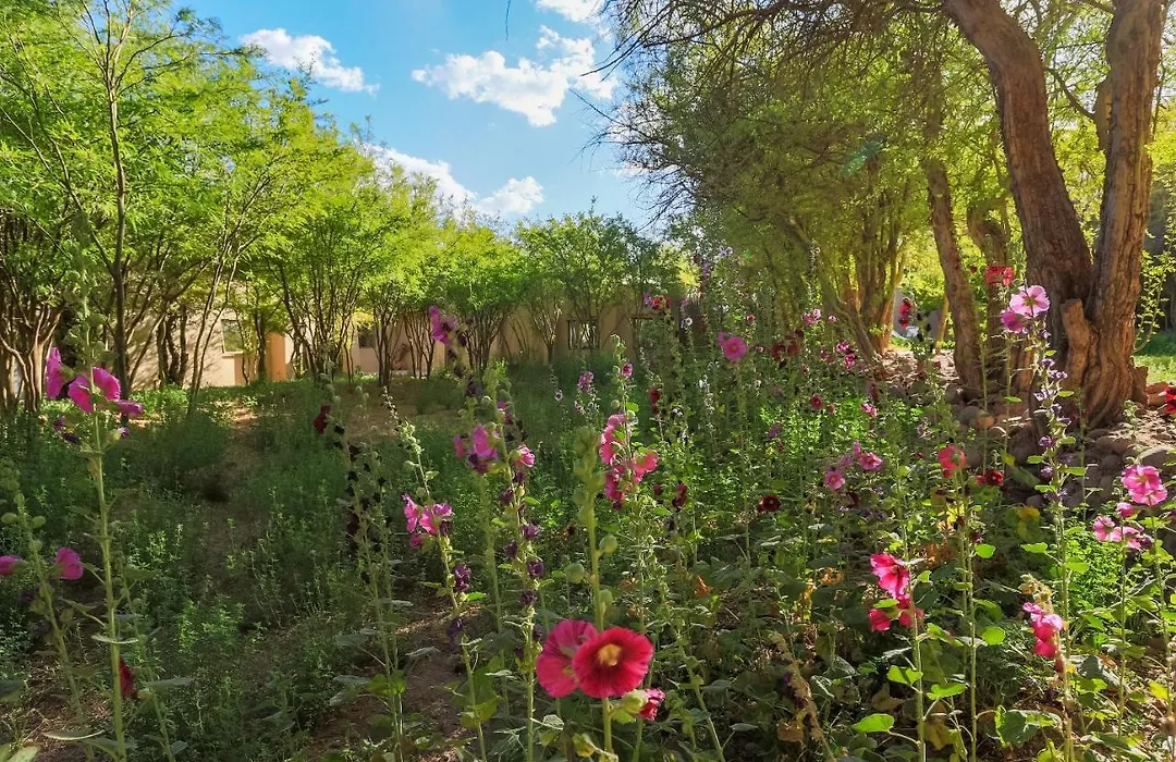 Casa Solcor Boutique Bed & Breakfast-1